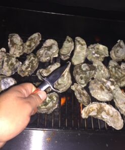 HiCoup Oyster Shucking Knife and Glove Kit - Clam and Oyster Knife Shucker Set with Stainless Steel Seafood Opener Tool, Wood Handle and Gloves 52 71I261ID48L