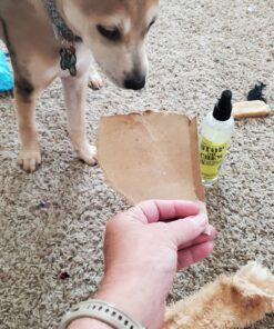 EBPP Stop the Chew 3X Strength Anti Chew Spray for Dogs - No Chew Spray for Puppies - Alcohol Free Dog Deterrent Spray - Bitter Spray for Dogs to Stop Chewing - Powerful No Chew Spray for Dogs - 8oz 50 71I2EQsb0BL