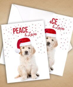 Canopy Street Labrador Love Holiday Card Pack / 25 Cards And Envelopes Pack/Festive Santa Hat Puppy Design With Greeting Inside/Dog Christmas And New Year Cards 14 71I2FUtUeWL