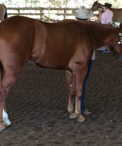 Fractionated Coconut Oil Premium Therapeutic Grade 16 Ounce Liquid Carrier Oil for Aromatherapy Relaxing Massage and Diluting Essential Oils with Pump and eBook 33 71I2xjKn1LL