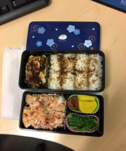 Japanese Traditional Rabbit Blossom Bento Box Set - Square 2 Tier Bento Box, Rice Ball Press, Bento Bag (Blue) 47 71I4KlRvfL