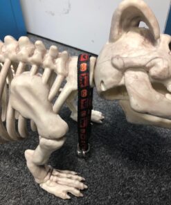 Crazy Bonez Pose-N-Stay Skeleton Original Pose-N-Stay 43 71I4qLpvFfL
