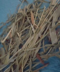 Kaytee Wafer Cut All Natural Timothy Hay for Pet Guinea Pigs, Rabbits & Other Small Animals, 60 Ounce 36 71I5VG0jNdL