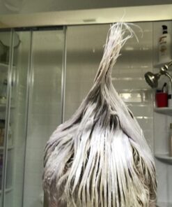 MG705 Hair Colour Permanent Hair Cream Dye Punk Emo Goth Cosplay Silver Titanium Blonde NEW by Dcash Master 43 71I6YCQn42L