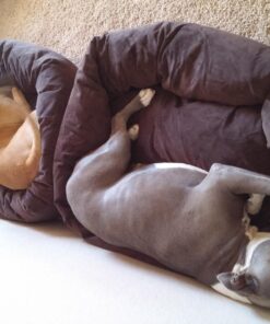 Majestic Pet 40 Inch Suede Calming Dog Bed Washable – Cozy Soft Round Dog Bed with Spine Support for Dogs to Rest their Head - Fluffy Donut Dog Bed 40x29x9 (Inch) - Round Pet Bed Large – Chocolate 40 in. 42 71I86RcwgL