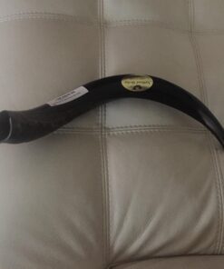 Half-Polished Finish Yemenite Kudu Horn Shofar 20"-22" 23 71I8qsQLs5L