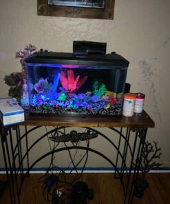 TetraFin Plus Goldfish Flakes 2.2 Ounces, Balanced Diet, With Algae To Promote Health,Oranges 2.2 Oz 22 71IAnHVP6L