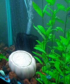 uxcell XINYOU XY-380 Aquarium Fish Tank Biochemical Sponge Filter, 4-1/2-Inch (1-Pack) 1-pack 27 71IB9sUyLcL