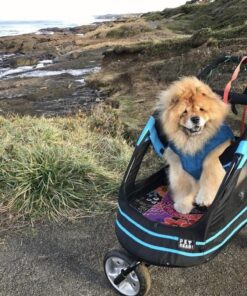 Kurgo Loft Dog Jacket, Reversible Dog Coat, Wear with Harness or Sweater, Water Resistant, Reflective, Winter Coat For Large Dogs (Coastal Blue, XL) Extra Large Coastal Blue/Orange 71 71IBHUAAYYL 1