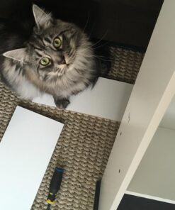 Sauder Caraway Etagere/Pantry cabinets, L: 23.31" x W: 7.44" x H: 68.07", Soft White finish 37 71IETdYQ9fL