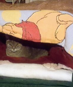 K&H Pet Products Heated Pet Bed Warmer Waterproof Pet Heating Pad for Cat Beds and Dog Beds, Tan Large 37 71IEuxFwOTL