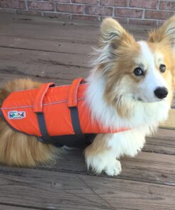 Outward Hound Granby Splash Orange Dog Life Jacket, Medium Granby (Flotation) Medium (Chest Girth: 21"-27") 38 71IH sxDUL