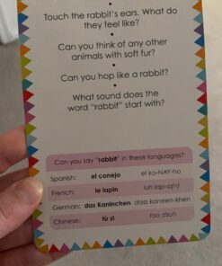 My First Touch and Feel Picture Cards: Animals (My First Board Books) 41 71IIQluyagL