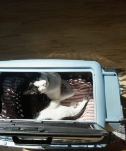 Petmate Two-Door Small Dog Kennel & Cat Kennel, Top Loading or Front Loading Pet Carrier, Made with Recycled Materials, 24 inches in Length For Pets up to 15 Pounds, Made in USA 24.1"L x 16.8"W x 14.5"H BLUE 26 71IK6vR94tL
