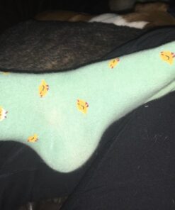 Chalier 5 Pairs Womens Funny socks Cozy Cute Printed Patterned Fun Socks Novelty Cat Socks for Women Gifts B-animals Multicolor(5 Pairs) 30 71IKF7YQmfL 1