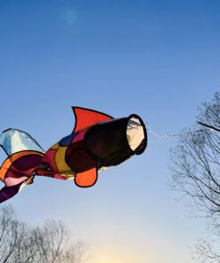 emma kites Cute Rainbow Fish Windsock Spinner Spiral 32-inch 21 71ILJAxls5L