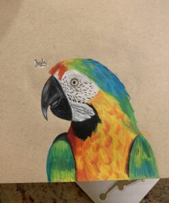 Prismacolor Premier Colored Pencils, Soft Core, 48 Pack 48 71ILdiT0ioL