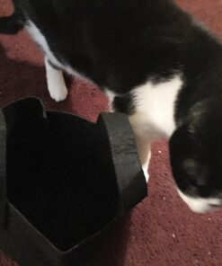 247Garden 5-Pack 1-Gallon Aeration Fabric Pot/Plant Grow Bag w/Handles (260 GSM, Black, 6H x 7D) 1 Gallon 35 71IMQ6IqRgL