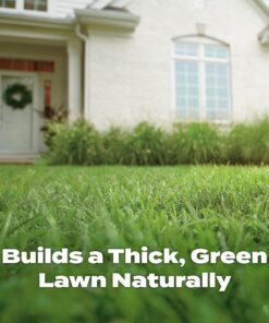 Scotts Natural Lawn Food, 29.1 lbs. 1 Pack 26 71IO3O61CqL