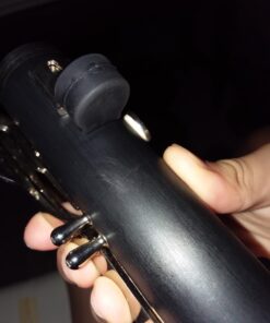 Eastar B Flat Clarinet for Beginner, Ebonite Clarinet Nickel-plated with 2 Barrels, 3 Reeds, White Gloves, Hard Case, Cleaning Kt, ECL-300 Nickel keys, Student style 40 71IOKAC5yuL