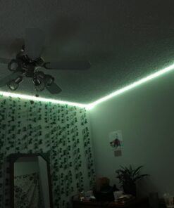 ELlight LED Strip Lights with APP, Dream Color 32.8ft LED Lights with Multicolor Chasing, Waterproof RGB Rope Lights Kit, 300 LEDs SMD 5050 Flexible Strip Lighting for Home Kitchen 36 71IPHkAgomL