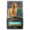 Purina Pro Plan High Protein Dry Puppy Food, Chicken and Rice Formula - 6 lb. Bag Chicken & Rice 38 71IPJSa0eWL