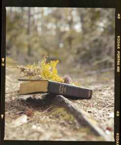 Kodak Professional Portra 400 Film, 120 1 Pack 34 71IQPbz0oL