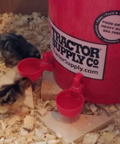 Chicken Water Cup Waterer Kit for Poultry - Pack of 6 + One Extra for Free (Total of 7) 37 71ISqzVwSLL