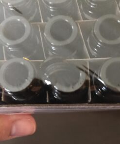 Vivaplex, 24, Amber, 10 ml Glass Roll-on Bottles with Stainless Steel Roller Balls. 3-3 ml Droppers included 27 71IU6 NWLbL