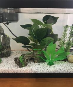 Tetra SafeStart Plus, For Newly Set-Up Fish aquariums, 100 ml, 3.38-Ounce 25 71IUCWwl9UL