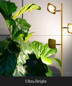 Brightech Tree Floor Lamp for Living Rooms & Offices, Dimmable Standing Lamp for Bedroom Reading, LED Spotlight Floor Lamp, Tall Lamp with Adjustable Panels for Minimal Space Use - Antique Brass 21 71IVvzaubFL