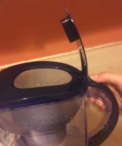 Ehm Ultra Premium Alkaline Water Filter Pitcher - 3.8L, Activated Carbon Filter- BPA Free, Healthy, Clean, & Toxin-Free Mineralized Alkaline Water in Minutes- Up to 9.5 pH-2023 blue 31 71IWnDGBqL