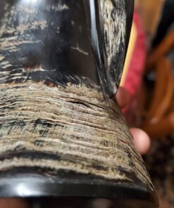 AleHorn Viking Horn Mug, Shot Glass and Bottle Opener Bundle | Viking Drinking Horn Set | Viking Horn Cup, Viking Mug Gift Ideas For Him - Viking Drinking Horn Mug Set for Beer, Ale or Mead - 16 oz L - 16oz 32 71IZclLYDtL