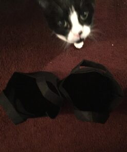 247Garden 5-Pack 1-Gallon Aeration Fabric Pot/Plant Grow Bag w/Handles (260 GSM, Black, 6H x 7D) 1 Gallon 36 71IeSsl6LmL