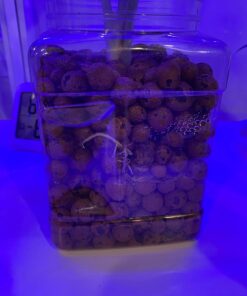 Expanded Clay Pebbles LECA Grow Media for Plants, Orchids, DWC Hydroponics, Aquaponics, Aquaculture Garden Soil Additive Conditioner Amendment Ceramsite Aggregate Cz Garden 2 LBS Cz Expanded Clay Pebbles 50 71IhQASmQKL