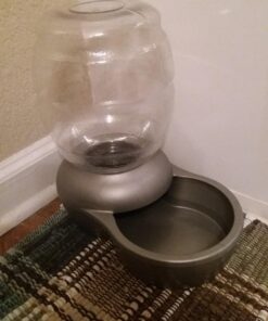 Petmate Replendish Automatic Gravity Waterer for Cats and Dogs, BPA-Free, No Batteries Required, Includes Charcoal Filter, 1 Gallon, Made in USA Silver 1 GAL 52 71IiL4NztyL
