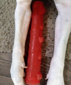KONG - Squeezz Stick - Strong Squeaky Dog Toy, Squeaks even if punctured - For Large Dogs (Assorted Colors) 22 71IiY9QGIDL