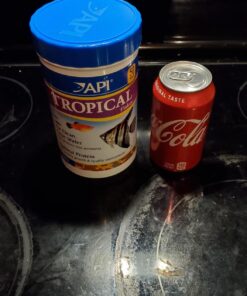 API TROPICAL FLAKES Fish Food 5.7-Ounce Container 5.7 Ounce (Pack of 1) 27 71IjagcgMtL