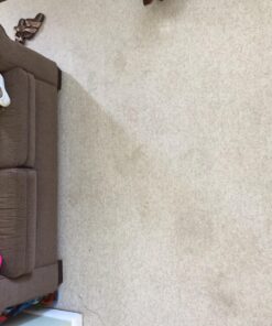 Nature's Miracle Carpet Shampoo, Deep-Cleaning Stain and Odor Remover 64 Ounce Original 64 Fl Oz (Pack of 1) 52 71IjfK8DVL