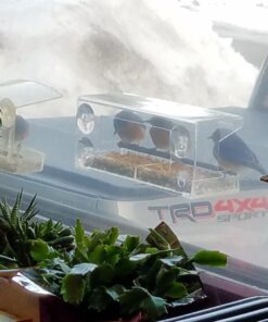 Wild Birds of Joy Window Bird Feeder with 4 Super Strong Suction Cups & Sliding Seed Tray, Large, Clear Acrylic, Easy Clean, Outdoor Bird Feeders, Outside View Up Close of Finch, Cardinal and Blue Jay 37 71Il9TNz0EL