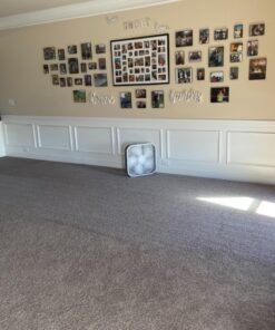 Nature's Miracle Carpet Shampoo, Deep-Cleaning Stain and Odor Remover 64 Ounce Original 64 Fl Oz (Pack of 1) 36 71IlNQ4fbUL