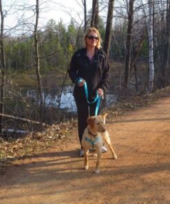 Whistle 3 / GPS Pet Tracker & Activity Monitor / Grey 50 71ImMXb5K3L