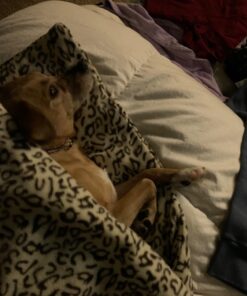 Sunbeam Royal Ultra Walnut Heated Personal Throw / Blanket, Cozy-Warm, Adjustable Heat Settings 30 71Ini4T6GL