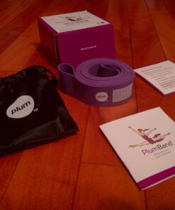 The PlumBand Stretch Band for Dance and Ballet – Colors and Sizes for Kids & Adults – Improve Your Splits, Strength, and Flexibility with Stretching – Printed Instruction Booklet and Travel Bag Plum Purple Regular 47 71Ip V53qNL