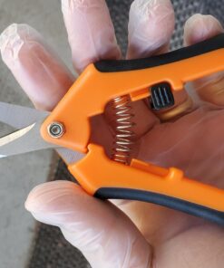 VIVOSUN 6.5 Inch Gardening Scissors Hand Pruner Pruning Shear with Straight Stainless Steel Blades Orange 1-Pack Straight Blade 47 71IpsI1K5zL