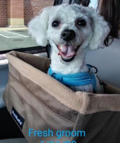 Activate II Flea and Tick Prevention for Dogs | 4 Count | Small Dogs 4-10 lbs | Topical Drops | 4 Months Flea Treatment 40 71IqgIVwFQL