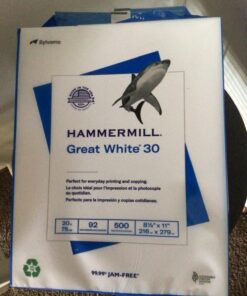 Hammermill Printer Paper, Great White 30% Recycled Paper, 8.5 x 11 - 1 Ream (500 Sheets) - 92 Bright, Made in the USA, 086710 1 Ream | 500 Sheets Letter (8.5x11) 36 71ItbQhU2L