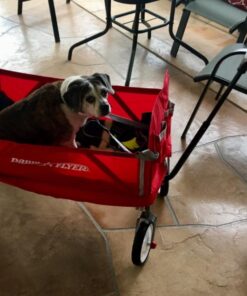 Radio Flyer 3-in-1 EZ Folding Wagon Ride On For Kids, Garden, & Cargo, Red Collapsible Wagon Base 77 71ItoEgIdjL