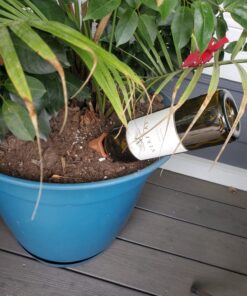 Modern Innovations Ceramic Terracotta Self Watering Spikes (4 Pack) Vacation Automatic Plant Waterer Devices, Indoor/Outdoor Planter Insert, Terra-Cotta Stakes for Potted Plants, Auto-Water System 4 Pack 44 71Itz4JotVL