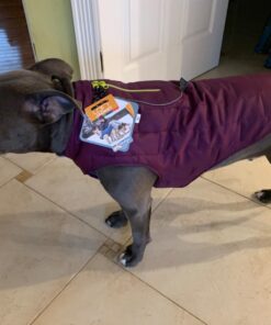 Kurgo Loft Dog Jacket, Reversible Dog Coat, Wear with Harness or Sweater, Water Resistant, Reflective, Winter Coat For Large Dogs (Coastal Blue, XL) Extra Large Coastal Blue/Orange 57 71J 8mjxRvL